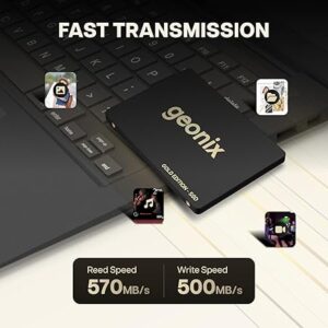 GEONIX 128GB SATA SSD for PC and Laptop